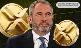 XRP: Потенційний переможець у світі криптовалют за версією CEO Ripple