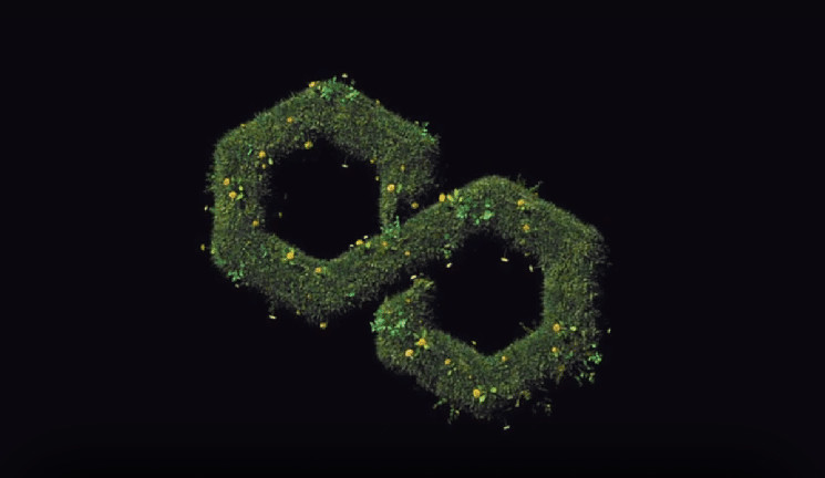 Agrotoken и Polygon: революция в агробизнесе через токенизацию товаров