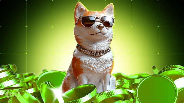 Dogecoin (DOGE) зростає на 10%: трейдери в очікуванні нових максимумів і підвищеної активності на ринку.