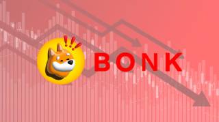Обвал цены BONK: анализ причин и последствий