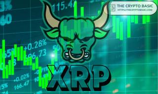 XRP: Когда стоимость достигнет $100 и мнения экспертов о будущем актива