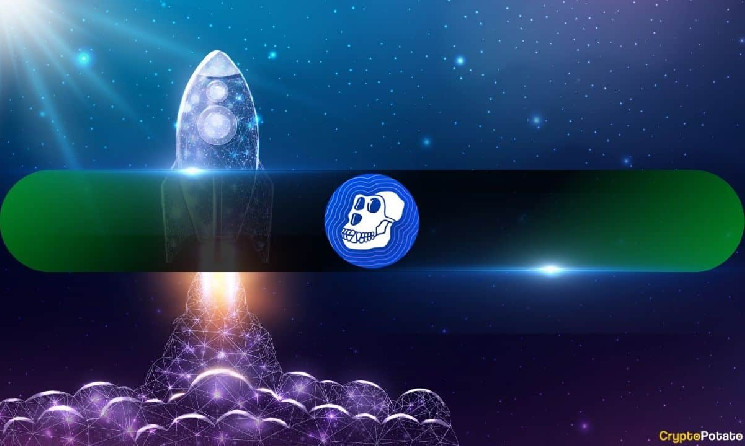 Ріст ApeCoin на 66%: Оголошення про запуск мосту викликало ажіотаж серед інвесторів