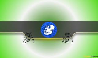 Максимальная цена ApeCoin (APE) после запуска моста: перспективы и прогнозы