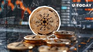 Будущее Cardano под вопросом: мнения экспертов о слабости криптовалюты и её конкуренции с Solana и Ethereum