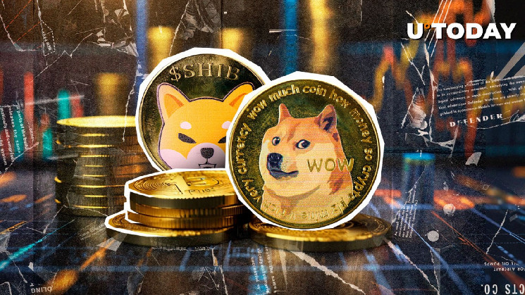 Dogecoin вырос на 27%, Shiba Inu может стать ещё крупнее?