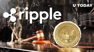 Перспективи апеляції SEC: думка юриста Ripple Стюарта Альдероті