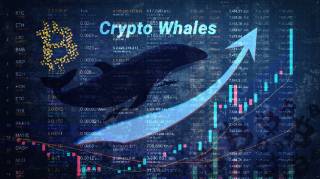 Кити сунуть у Notcoin: очікується зростання альткоїнів на 400%