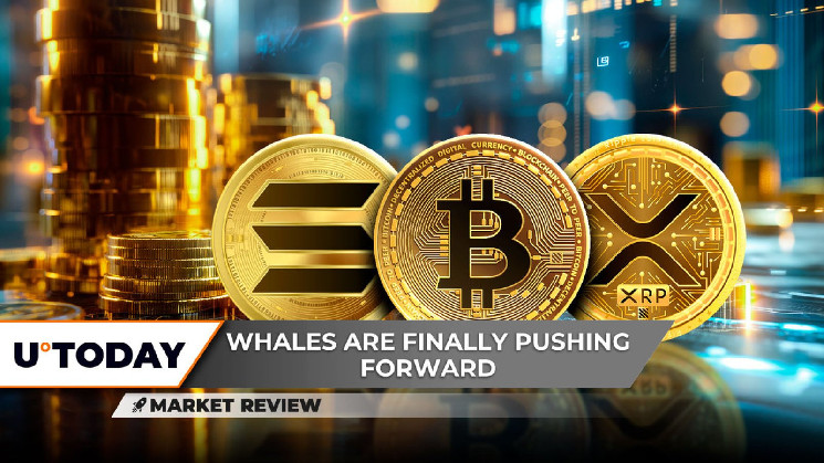 XRP отстает от топ-10 криптовалют, Bitcoin пробивает важные уровни, а Solana на пути к $200: перспективы и угрозы на рынке криптоактивов