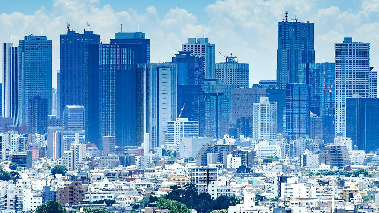 Metaplanet привлек 66 миллионов долларов через программу прав на приобретение акций