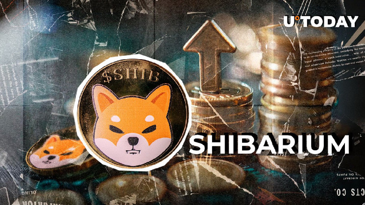 Сплеск активності в Shibarium: новий рекорд для Shiba Inu з ростом облікових записів і транзакцій