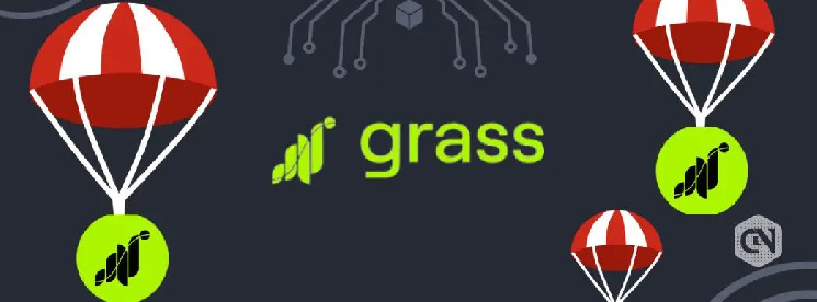 GRASS Airdrop One: Запуск 28 октября 2024 года и условия участия для пользователей сети Grass