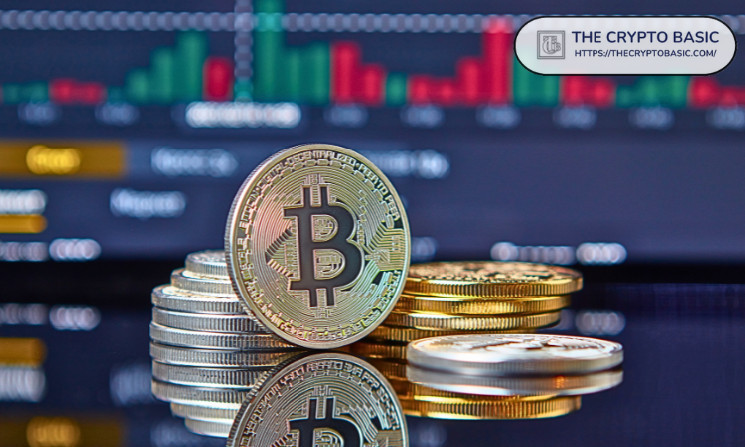 Биткойн: 297 новых китов за 2 недели и рекорды накоплений крупных держателей