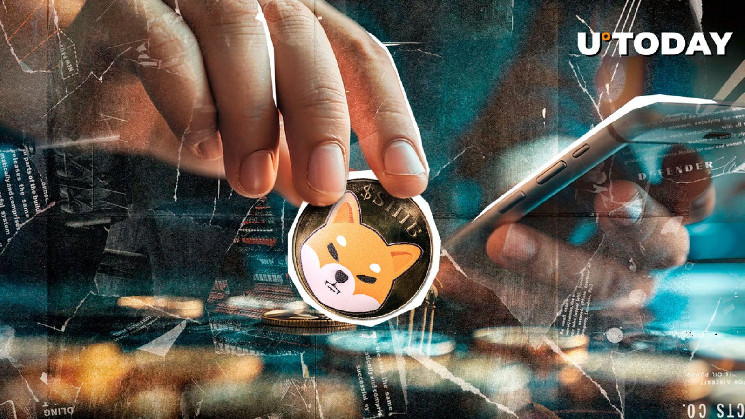 Команда SHIB закликає до терпіння: досягнення Shibarium та зростання спалювання монет SHIB.