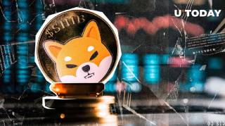 Крупные сделки Shiba Inu взлетели на 60%, несмотря на падение цены и обновления в ShibaSwap