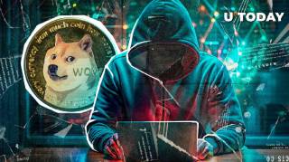 Соснователь Dogecoin о будущем мем-криптовалют: технологии важнее ажиотажа