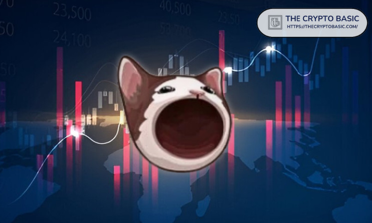 POP CAT: эксперт прогнозирует рост до $5 после выборов в США