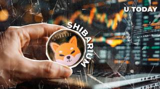 Стратегическое обновление Shibarium: новые возможности для держателей NFT Shiboshi
