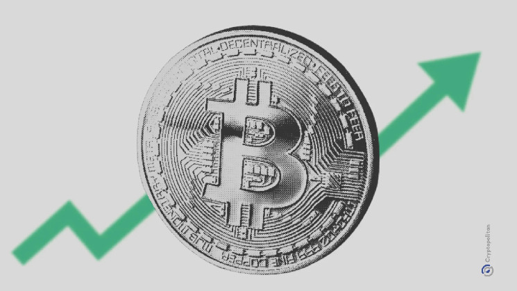 Рекордная заблокированная стоимость Bitcoin на фоне новых протоколов и роста интереса к стекингу