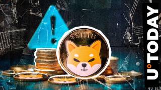 Люсі з Shiba Inu закликає інвестувати відповідально: ключові поради для тримачів SHIB