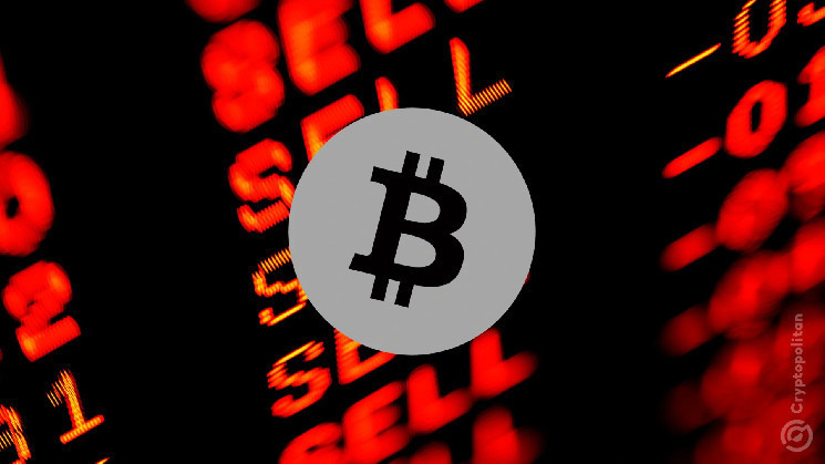 Биткойн под угрозой: как выборы в США могут обрушить его цену ниже $40,000