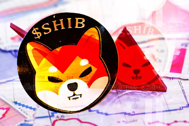 Shiba Inu (SHIB) в фазе консолидации: рост на 123% и прогнозы на будущее