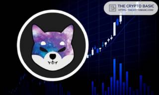 Прогнози цін на Shiba Inu: що очікувати у 2025, 2030 та 2040 роках?