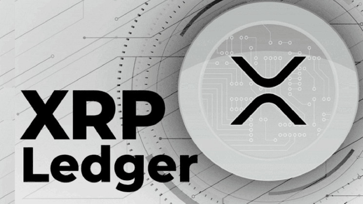 Изменения в типах транзакций XRP Ledger: важные обновления и их влияние на разработчиков