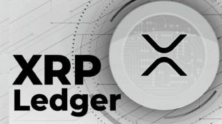 XRP Ledger: Еволюція протоколу та зростання залучення розробників