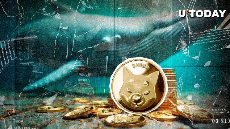 Снижение объемов транзакций Shiba Inu: киты сокращают активность?