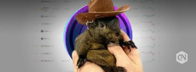 Трейдер заработал 12,000% прибыли на криптовалюте PNUT, вдохновленной арахисом, после резонансной политической ситуации с домашней белкой