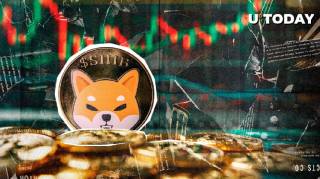 Shiba Inu (SHIB): Признаки возможного роста на фоне низкой волатильности и стабильности цен