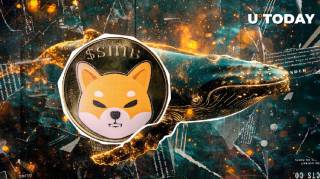 Shiba Inu (SHIB) на пике активности: Киты увеличили сделки на 361%, но медвежьи настроения остаются