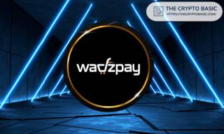 Участие WadzPay и Ripple на DCC 2024: небольшая монета с большим потенциалом