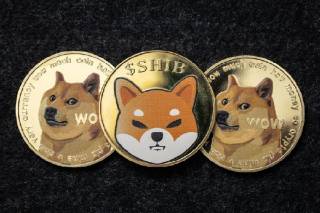 DOGE проти SHIB: Яка мем-валюта краще інвестувати у 2025 році?
