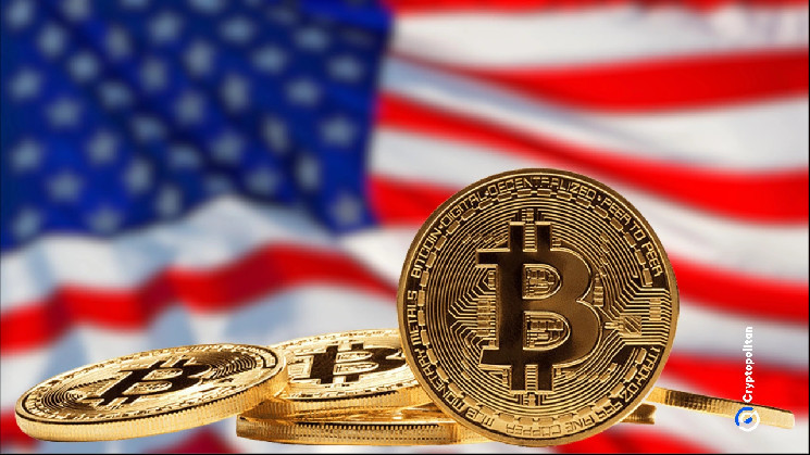 Цена биткойна и выборы в США: как политические настроения влияют на криптовалюту