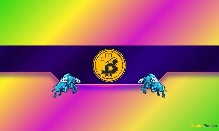 Биткойн на пороге ралли: рост цены на фоне президентских выборов в США и шансов Трампа на победу