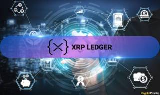 Рост капитализации XRP Ledger: Отчет Messari 2023