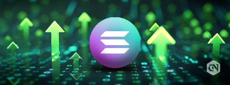 Рост мемкоинов на Solana: SOL достиг $200, DOGE и другие токены показывают впечатляющие результаты