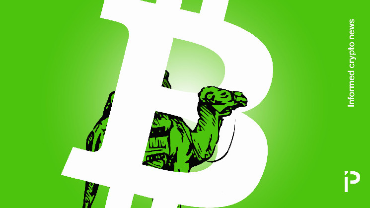 Освобождение Росса Ульбрихта: сколько биткойнов ему принесет помилование от Трампа?