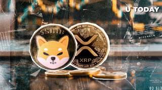 Shiba Inu перегнав XRP з 20% зростання: аналіз ринку та перспективи мем-коінів.