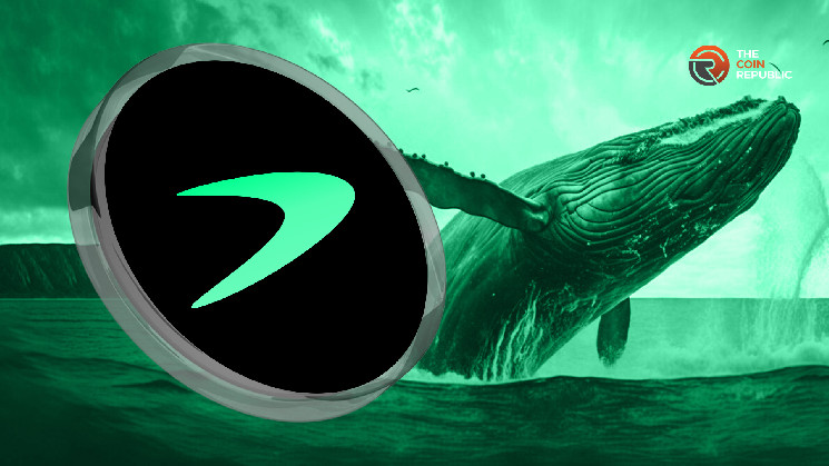 Ціна Tellor знижується через продаж китів: можливий прорив на горизонті?