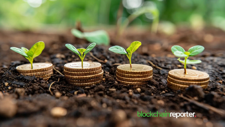 Инвестиции на Coinbase: перспективные криптовалюты $WLD, $AR, $FTT и другие не上市 активы