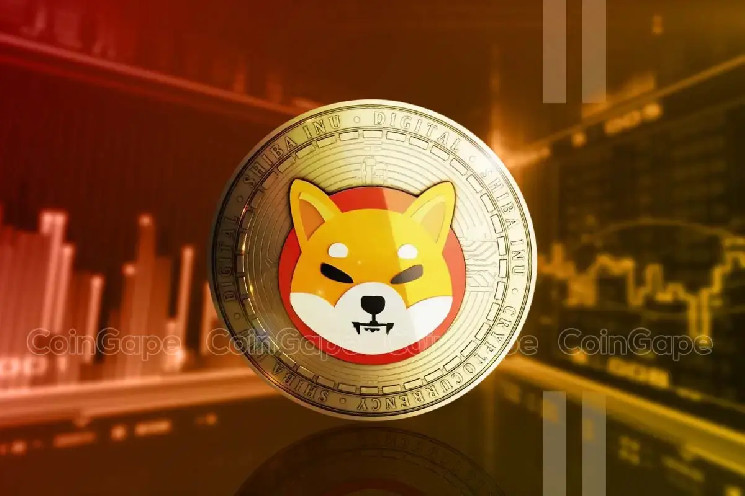 Прогноз 300% зростання ціни Shiba Inu на фоні бичачої дивергенції