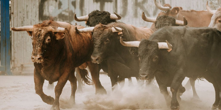 Відновлення криптовалют: чи триватиме зростання цін?