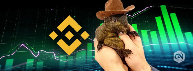 Binance добавляет два новых мемкоина на Solana: Act I: Пророчество ИИ (ACT) и Peanut the Squirrel (PNUT)