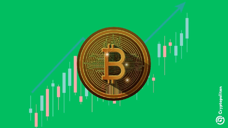 Биткойн побил рекорды, достигнув $86,206 на фоне победы Трампа и роста крипторынка до $3 трлн.