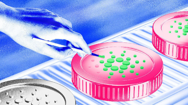 Cardano (ADA) опустився до $0.60: чи завершився бичачий ринок?