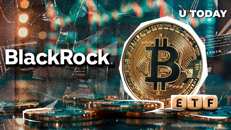 Bitcoin ETF от BlackRock преодолел отметку в $40 миллиарда за 211 дней, устанавливая новые рекорды в индустрии.