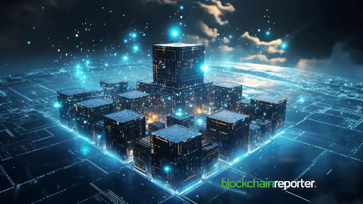 DWF Labs инвестирует $10M в токены $NIKO для укрепления ликвидности на рынке