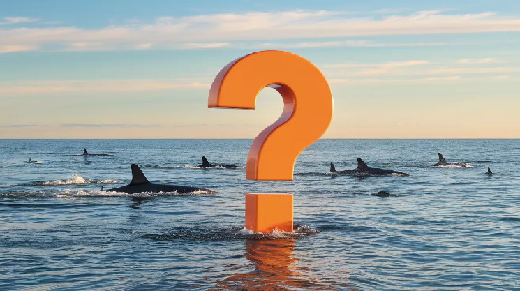 Кит превратил $26 в $61,5 миллиона с альткойном PEPE, но не может продать!